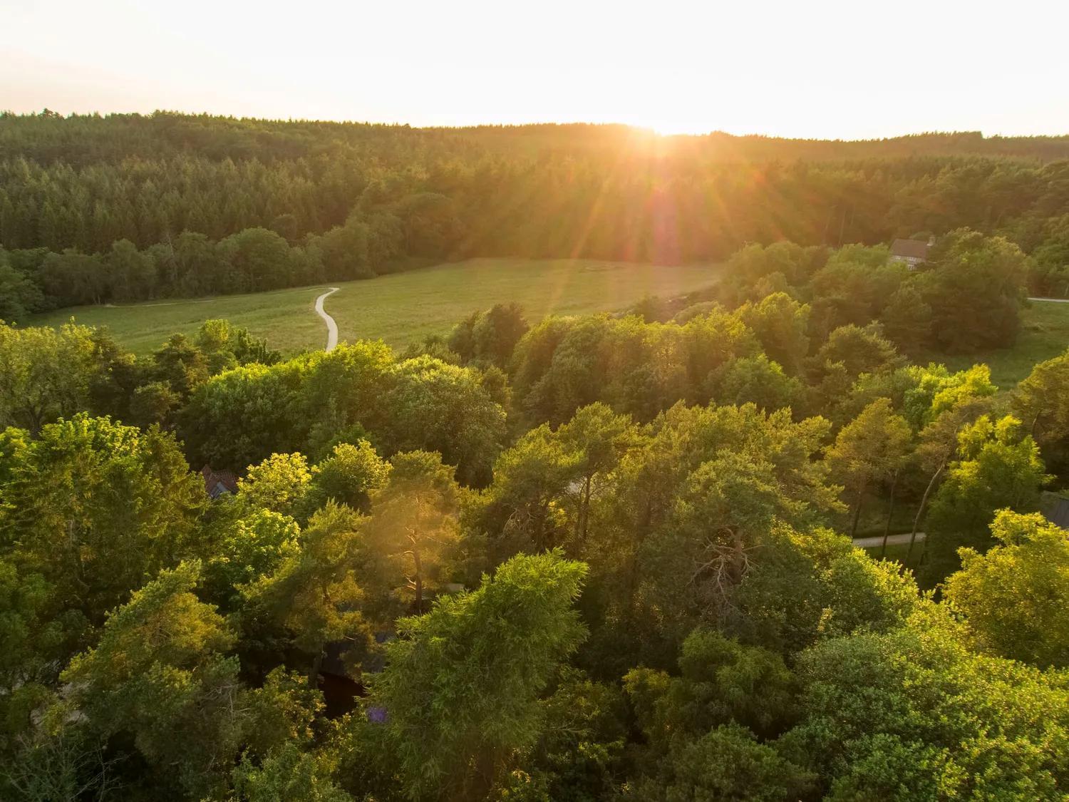 Keldy Forest Cabins - Forest Holidays بيكرينغ المظهر الخارجي الصورة